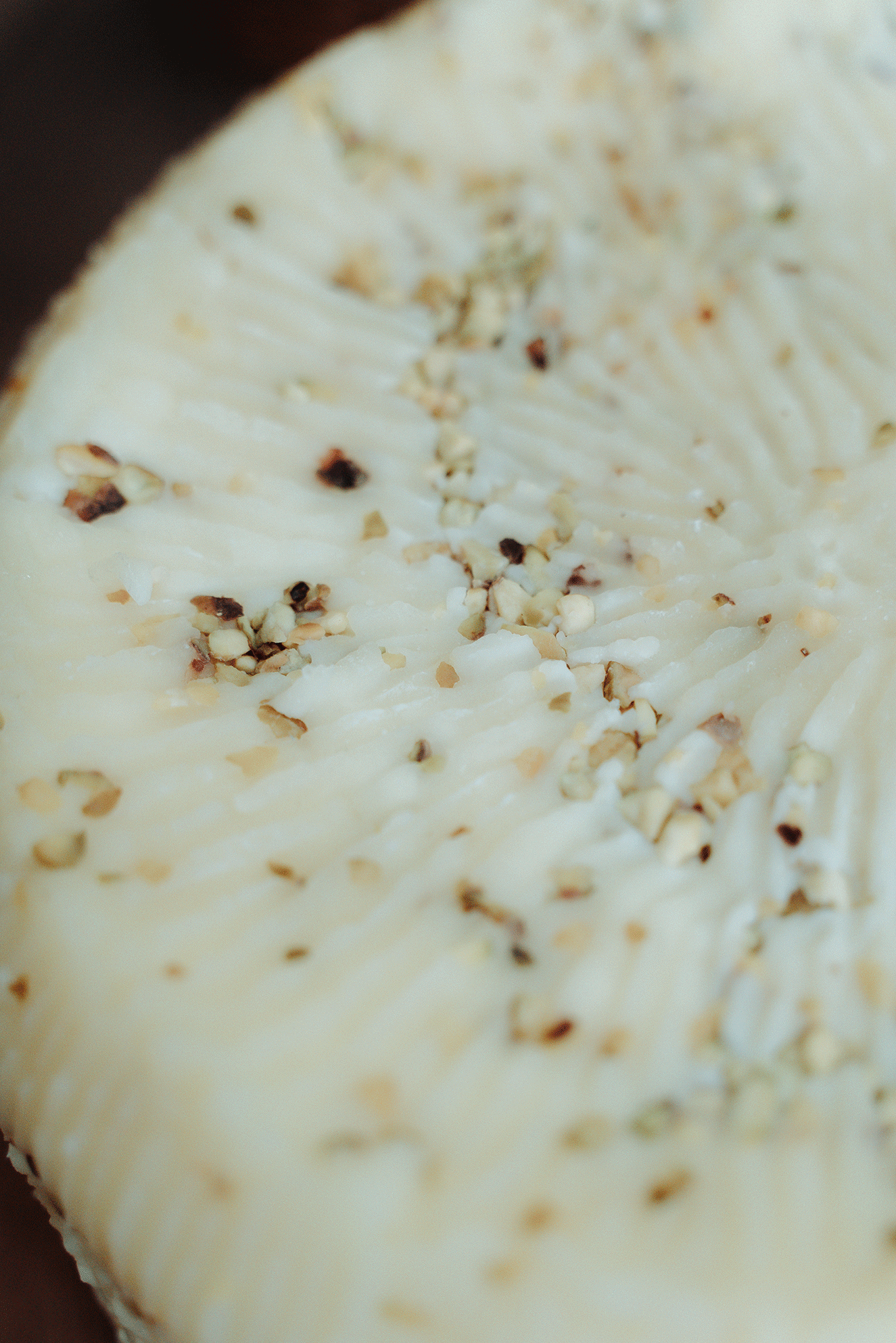 Pecorino primo sale al pistacchio – formaggio fresco siciliano artigianale
