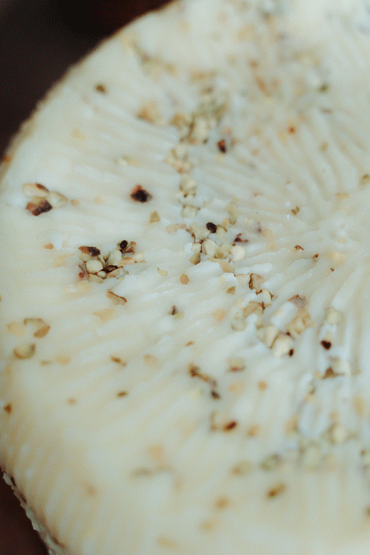 Pecorino primo sale al pistacchio – formaggio fresco siciliano artigianale
