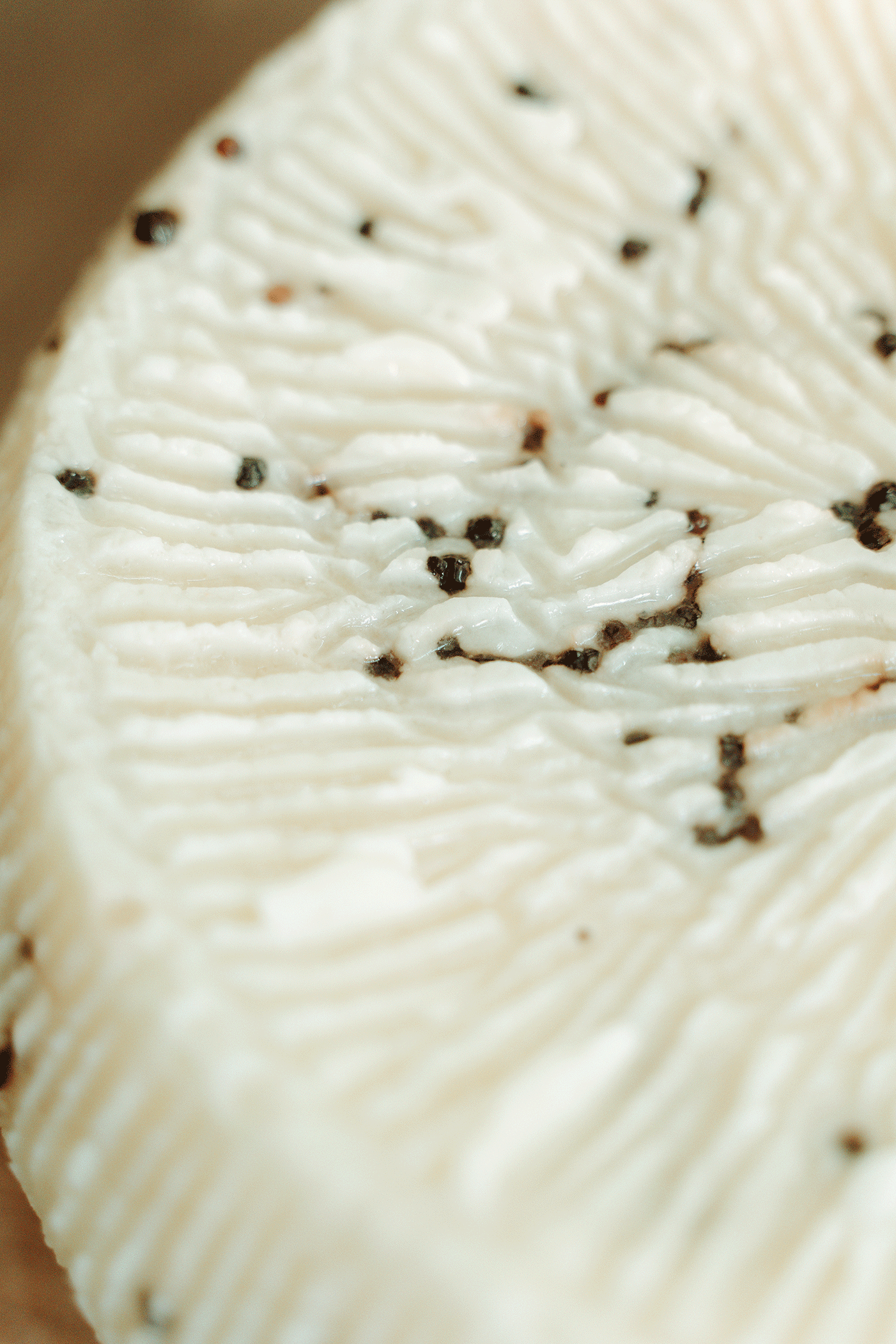 Pecorino siciliano primo sale artigianale con pepe nero in grani
